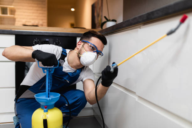 Best Flea Control Services  in Centerville, IA