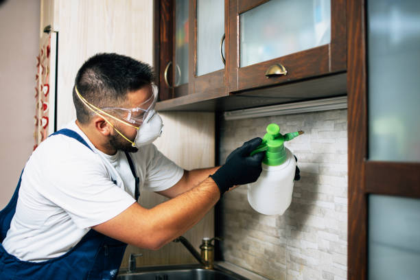 Best Pest Removal Services  in Centerville, IA