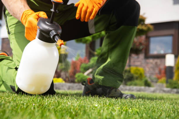 Best Affordable Pest Control Services  in Centerville, IA