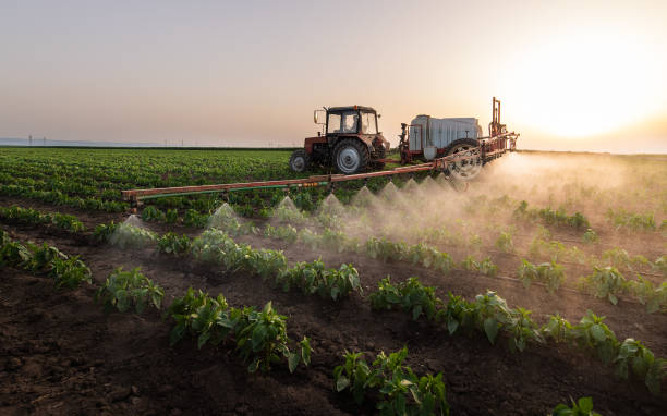 Best Mosquito Control Services  in Centerville, IA
