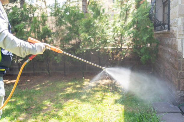 Best Termite Control Services  in Centerville, IA
