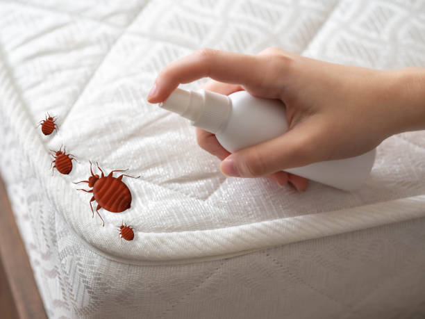 Best Flea Control Services  in Centerville, IA