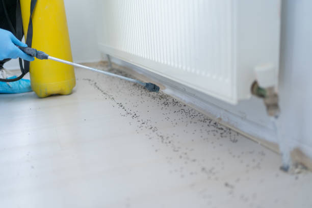 Best Affordable Pest Control Services  in Centerville, IA