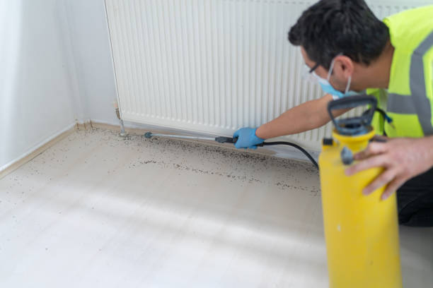 Best Pest Prevention Services  in Centerville, IA