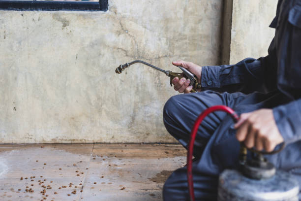 Pest Prevention Services in Centerville, IA