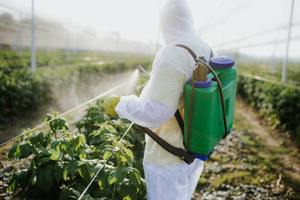 Best Exterminator Services  in Centerville, IA